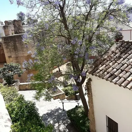Tejares Del Alcazar Apartment *
