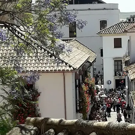 Tejares Del Alcazar