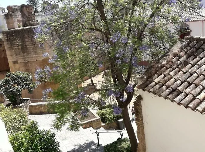 Tejares Del Alcazar דירה *