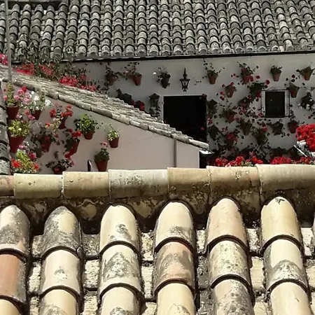 Lägenhet Tejares Del Alcazar *